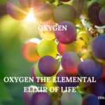 Oxygen The Elemental Elixir of Life